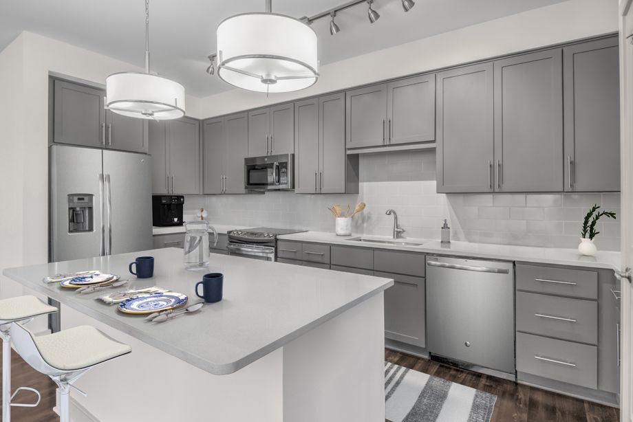 Camden Carolinian Image 3