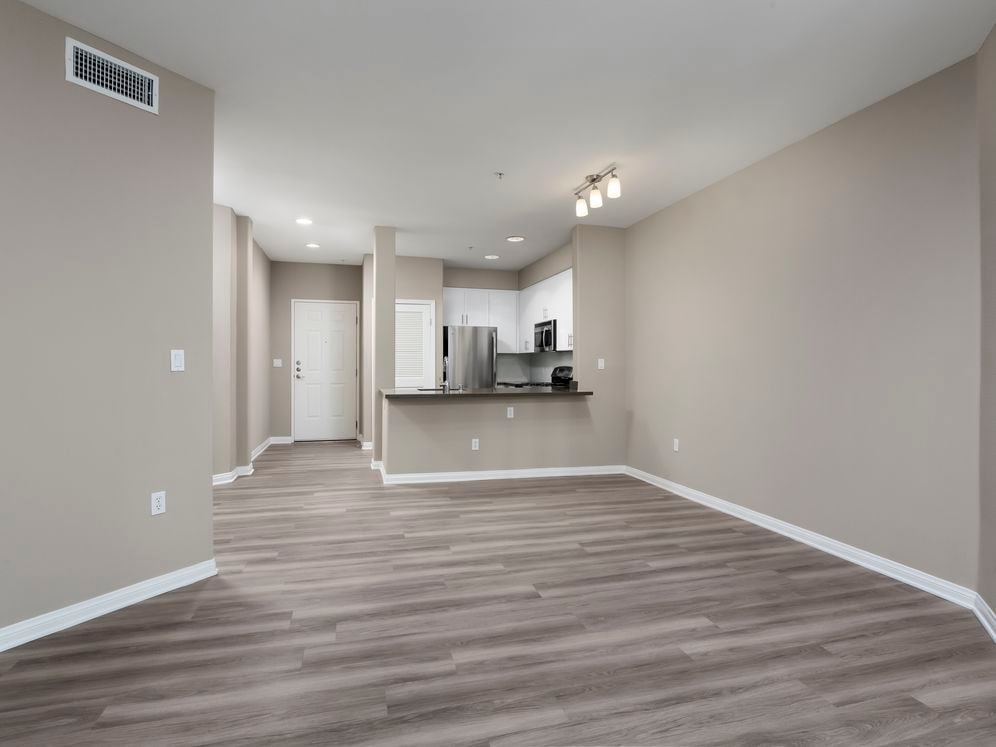 Kitchen and Living and Dining Areas