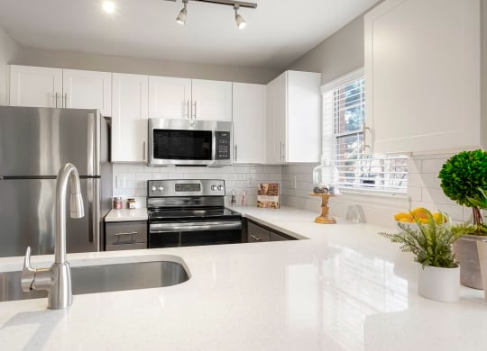 The Bluffs at Highlands Ranch Image 15