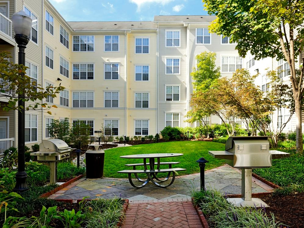 Courtyard with barbecue grills and dining area