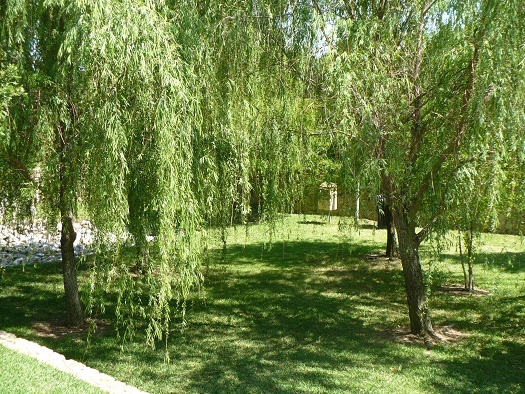 Spicewood Crossing Image 8