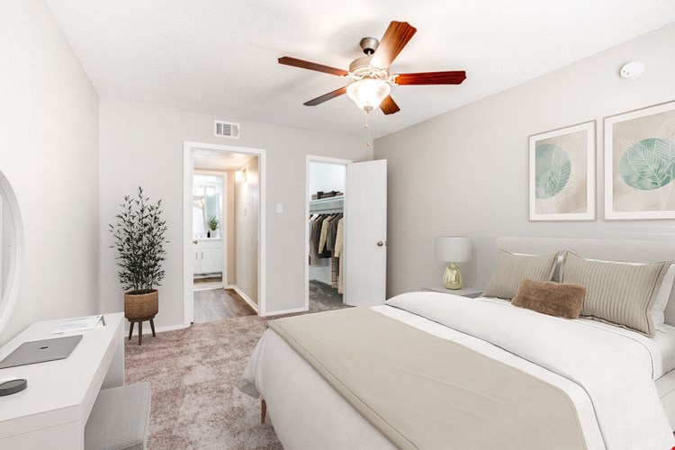 Solana Image 19