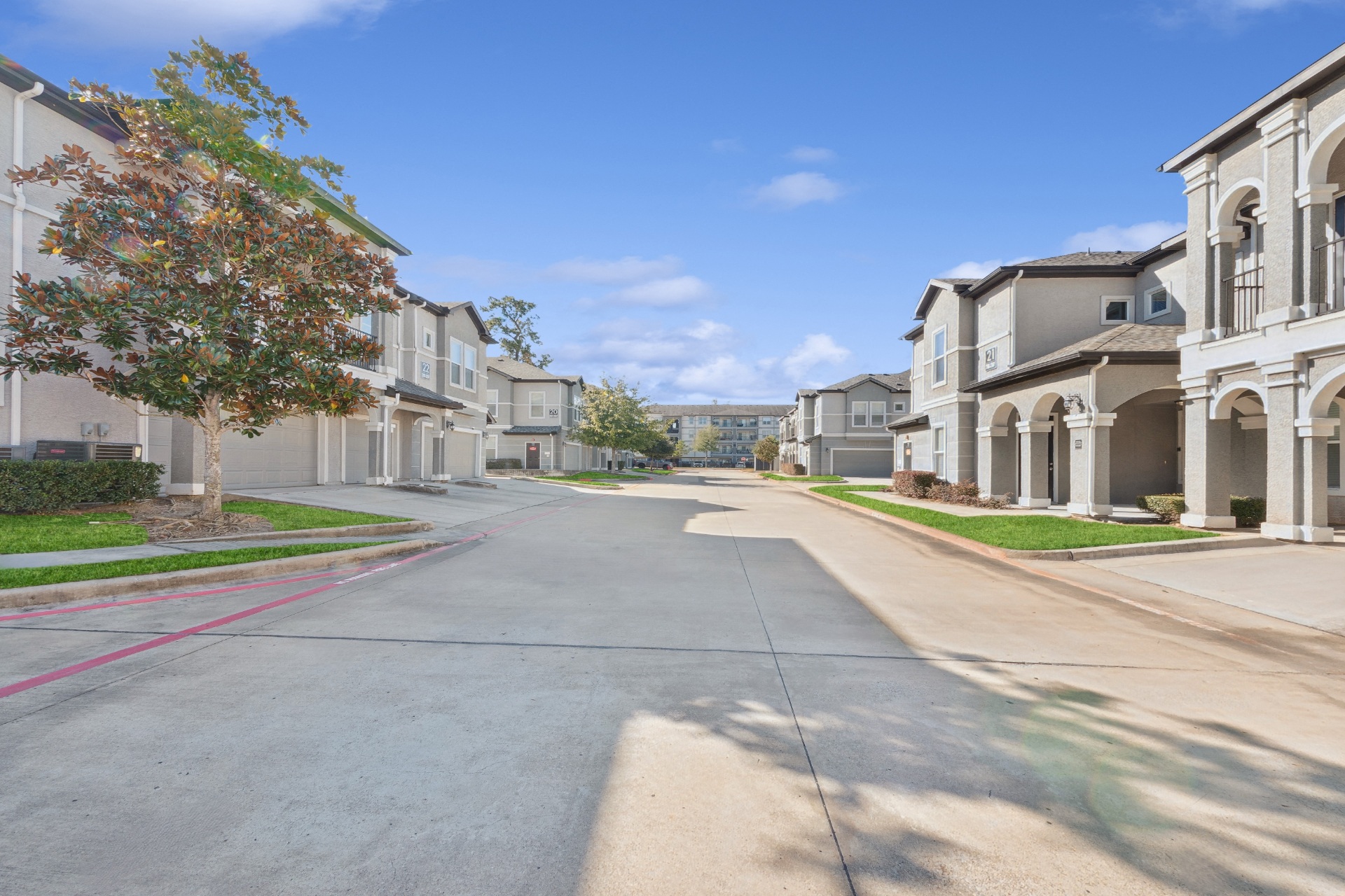 Berkshire Woodland Image 46