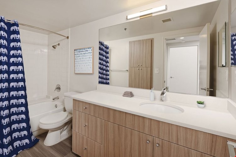 Renovated Package II bath featuring white quartz countertops, driftwood cabinetry, and hard surface flooring