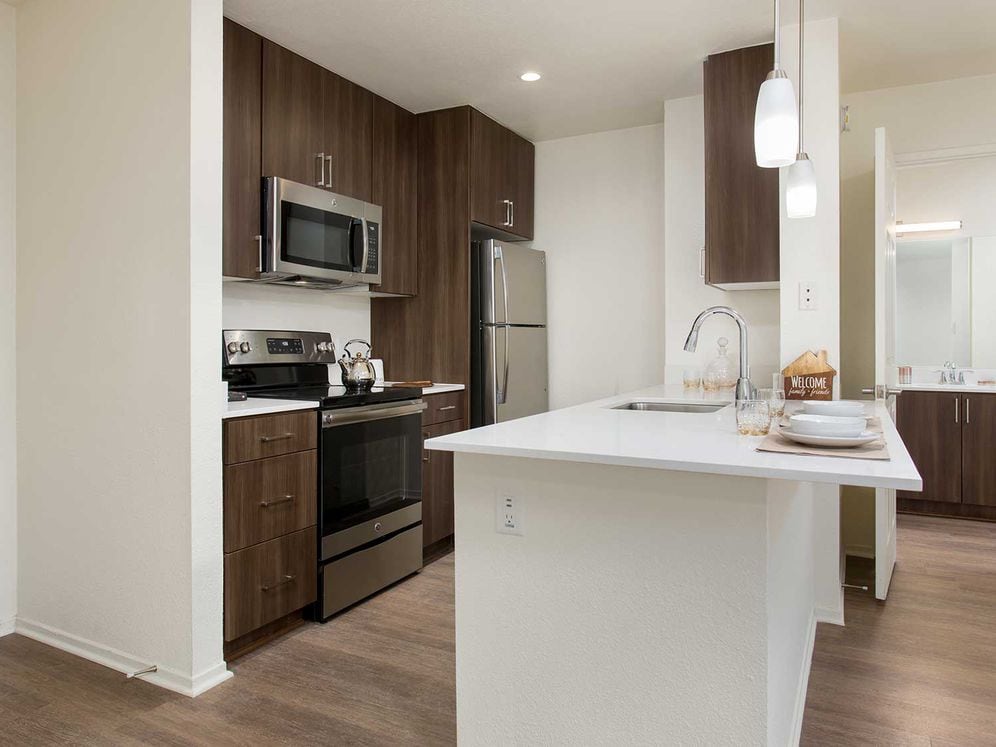 Premium Apartment Kitchen with Stainless Steel Appliances