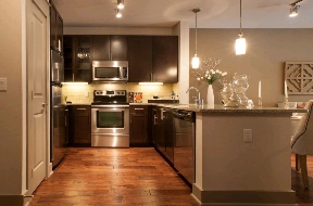 Icon at Dulles Station Image 9