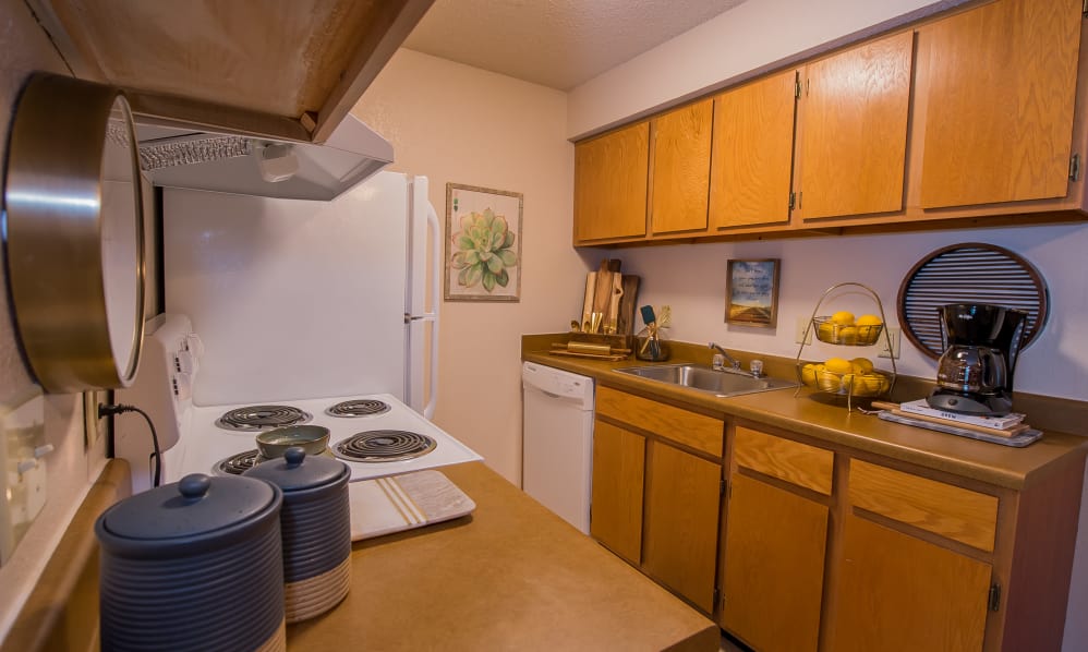 Silver Springs Image 10