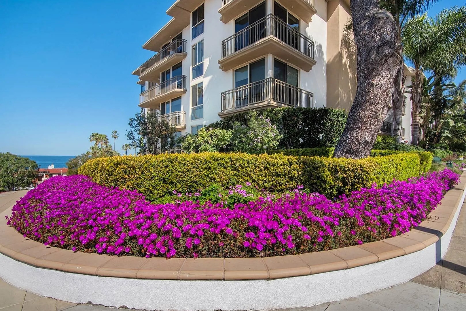 Ocean House on Prospect Apartment Homes Image 2