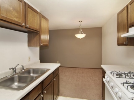 Shadow Green Image 10