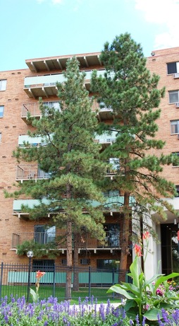The Harper Image 6