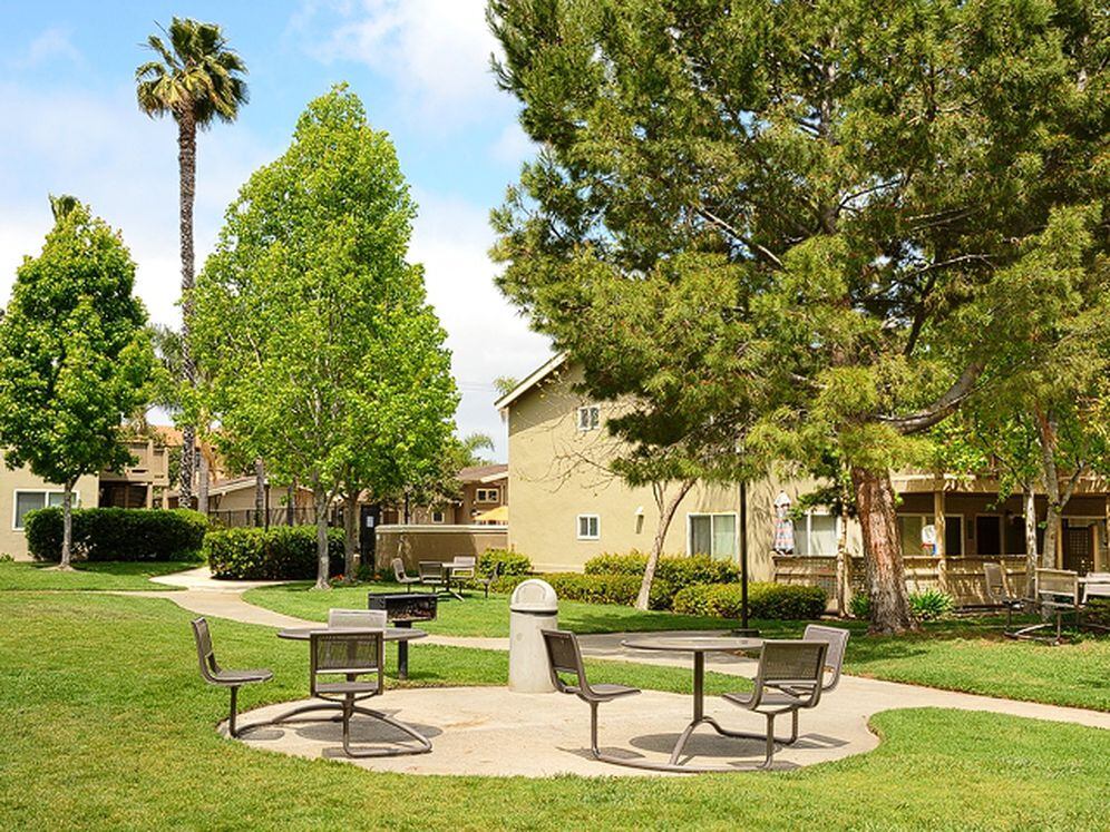 Barbecue and picnic area