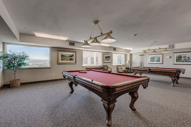 The Vintage at Everett Image 4