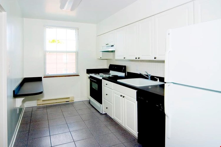 Uptown Shaker Image 1