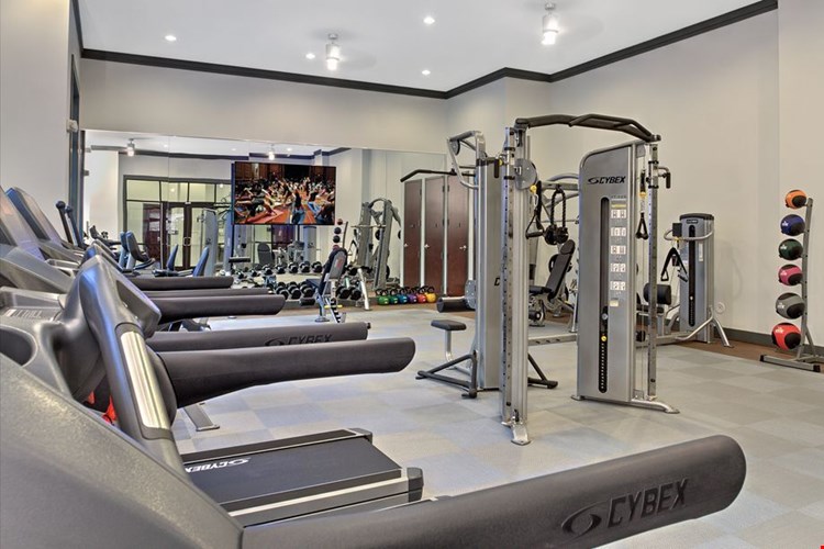 Camden Gallery Image 22