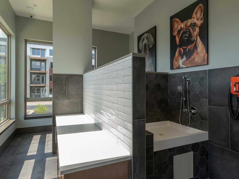 East building WAG Pet Spa