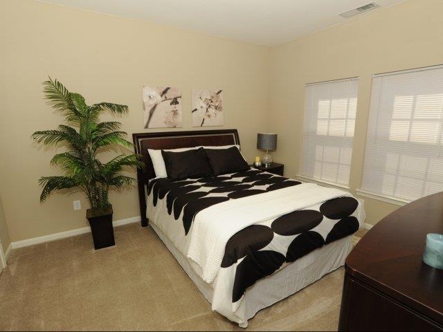 The Parks at Vine  Image 4