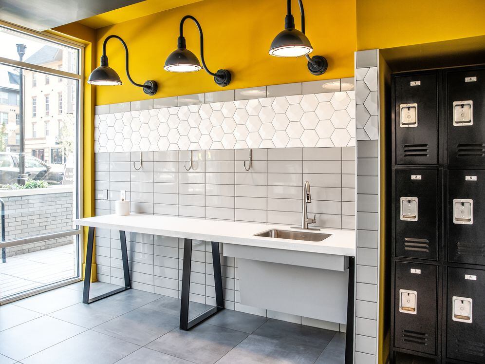 South Building WAG Pet Spa