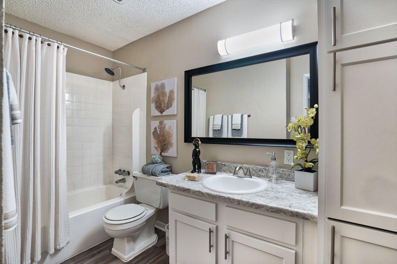 The Palm on SPID Image 10