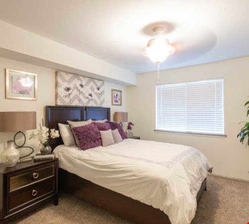Cherrybrook Place Image 4