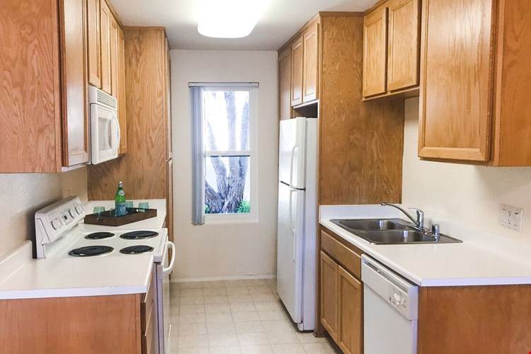 Beach Colony Image 4