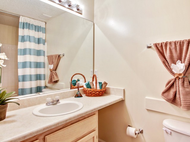 Cambridge Faire Image 6