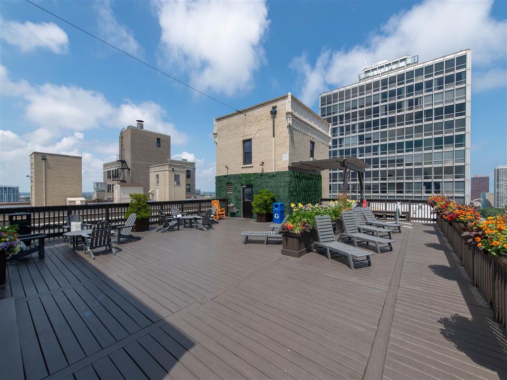 The Patricians Image 11