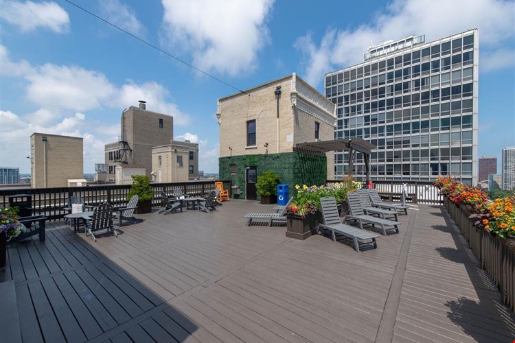 The Patricians Image 11