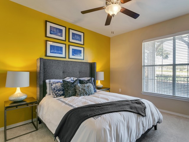 The Vine South Image 21