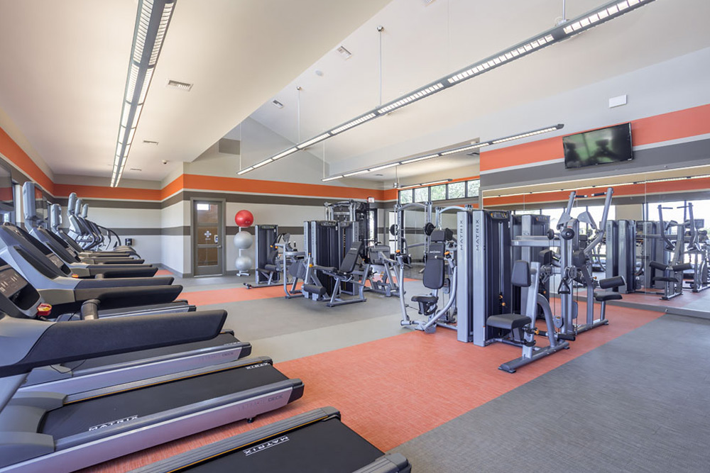 Pearl Lantana Image 3