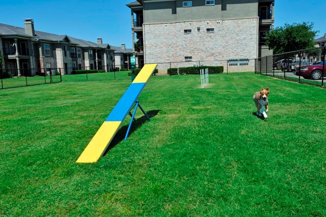 The Springs Of Indian Creek Image 11