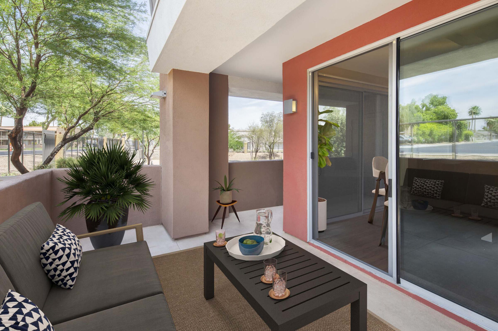 Camden Sotelo Image 12