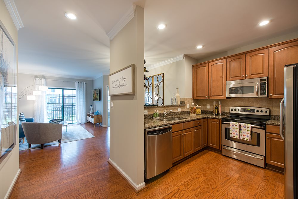 Cosmo at Lorton Image 9