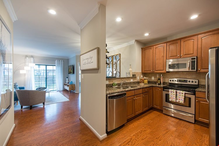 Cosmo at Lorton Image 9