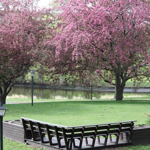 Winnetka Village Image 3