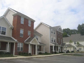 Sherman Forest Image 2