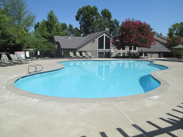 Lavish Swimming Pool