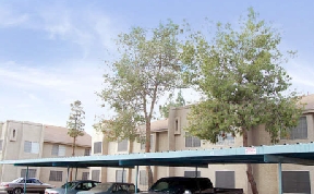 Brook Creek Apartments Image 5