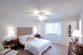 The Woods Apartments Image 9