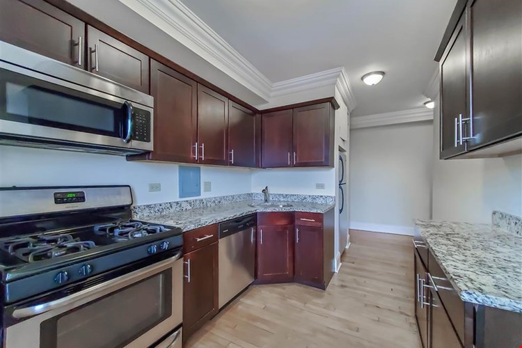 The Patricians Image 17