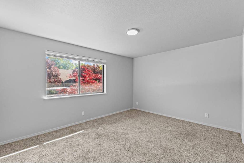 Woodbine Image 18