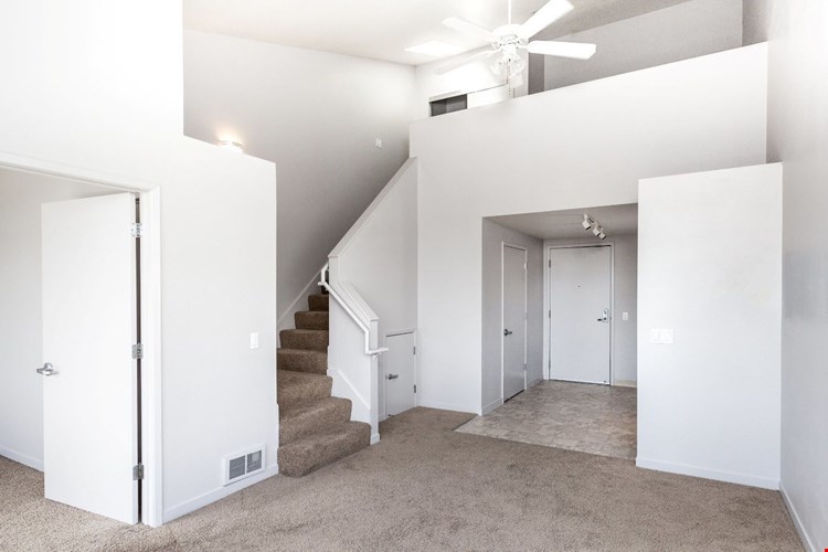 Soma Residences Image 11