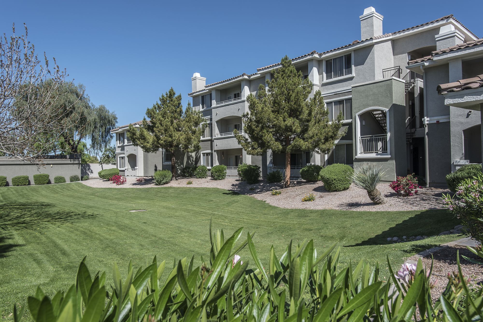 Cortland Arrowhead Summit Image 24