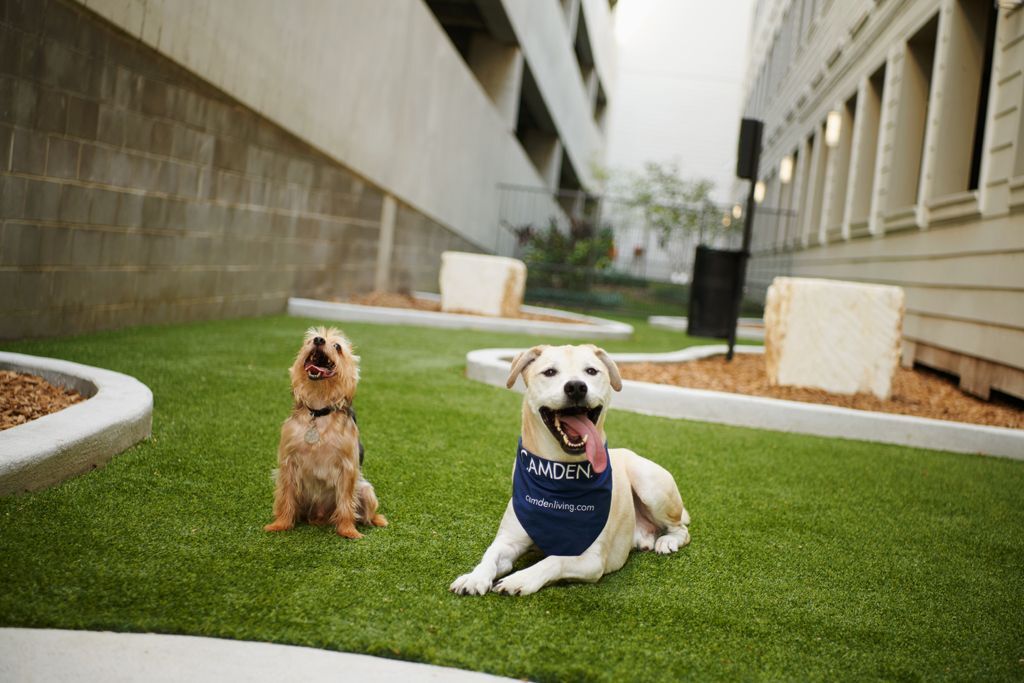 Camden Travis Street Image 24