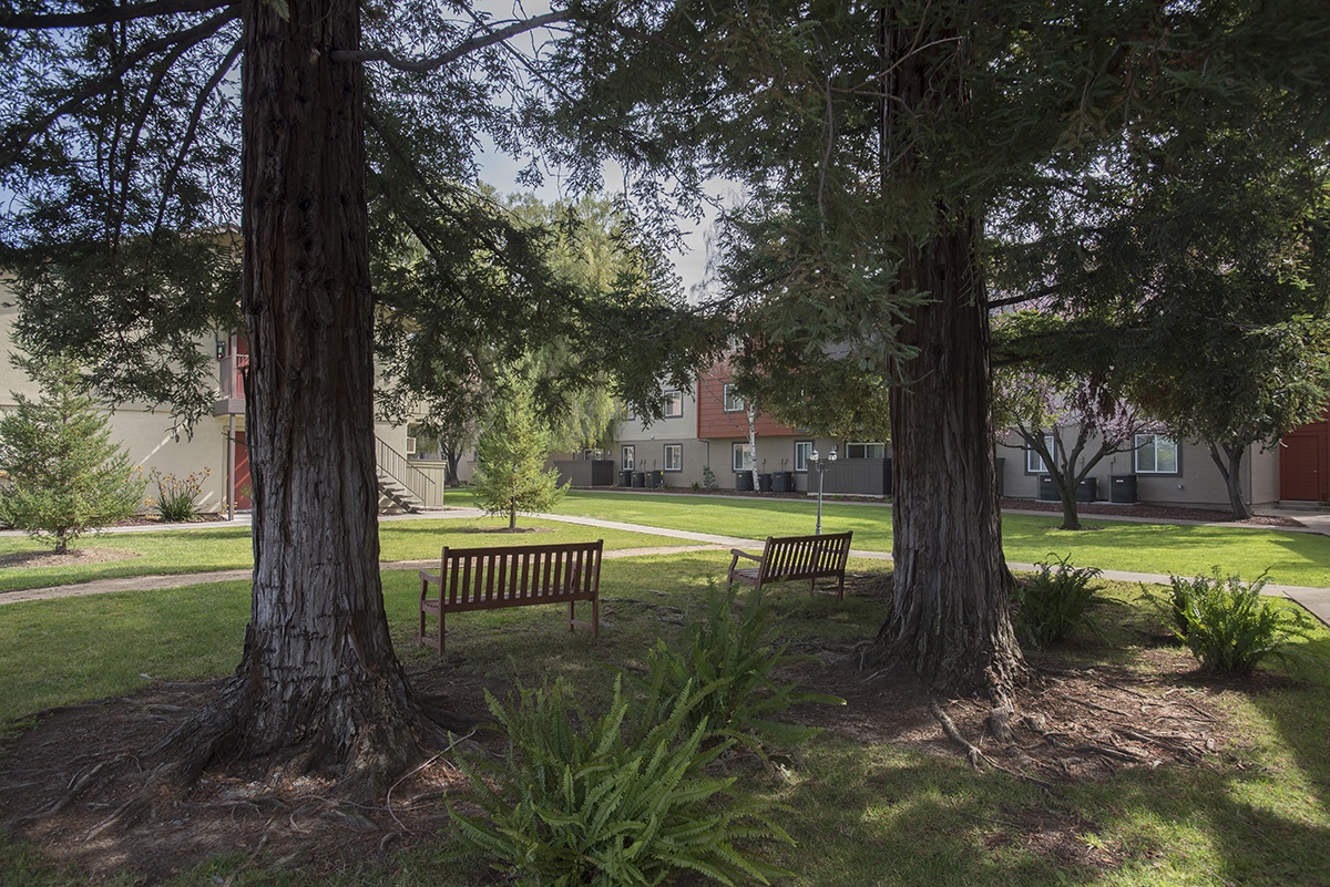 Diablo View Image 31