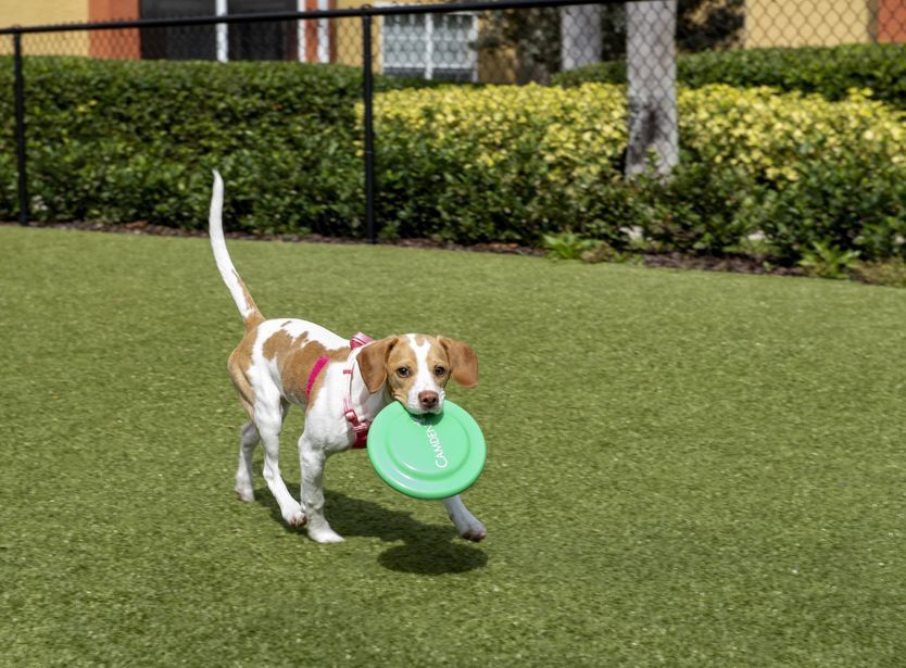 Camden Visconti Image 32