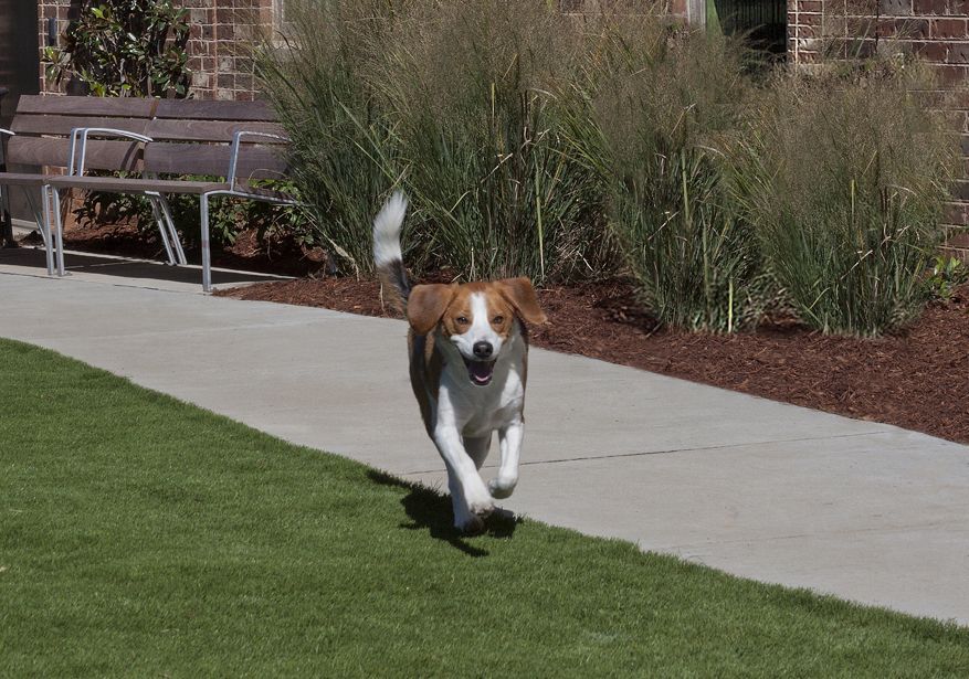 Camden Southline Image 22