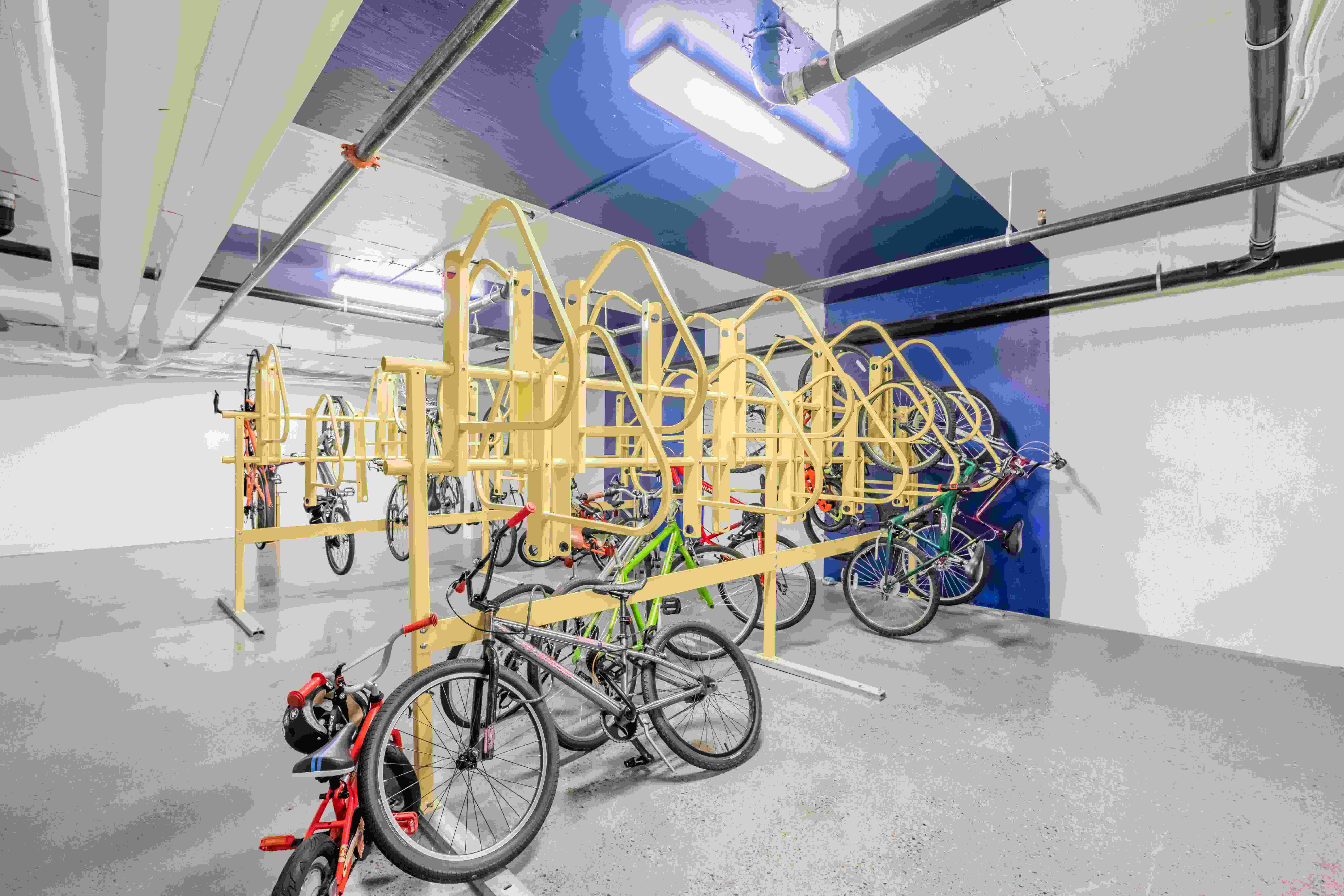 Paceline Image 27