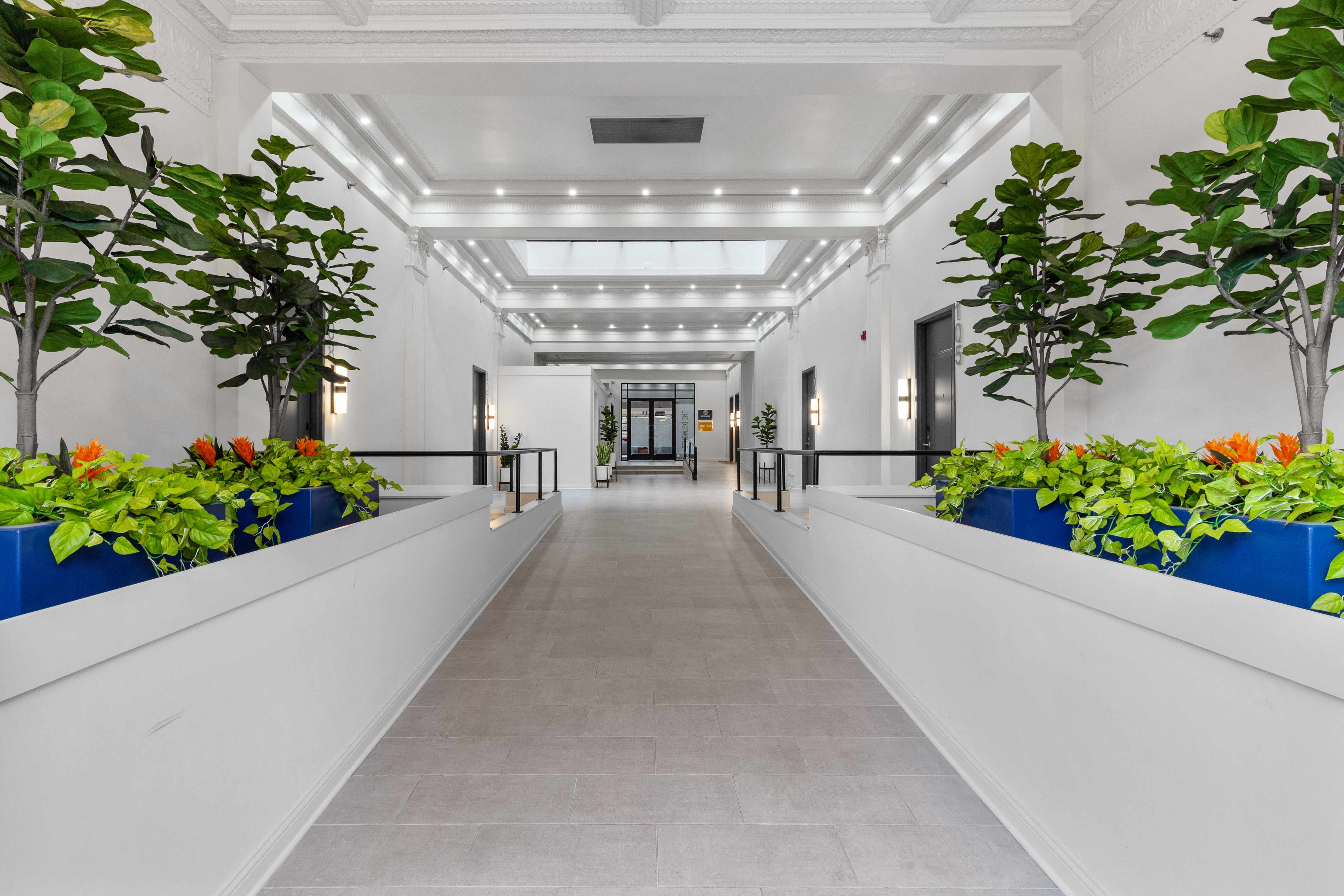 The Delmonte Image 13