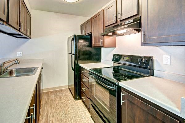Constellation Apartments Kitchen Counters and Appliances