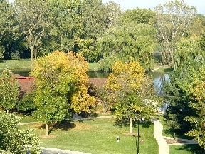 View from a Balcony